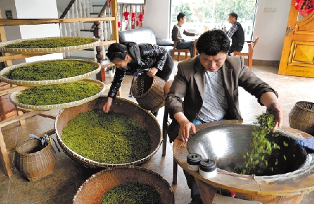 茶农微博网店售龙井 管委会开设直销点帮忙卖茶