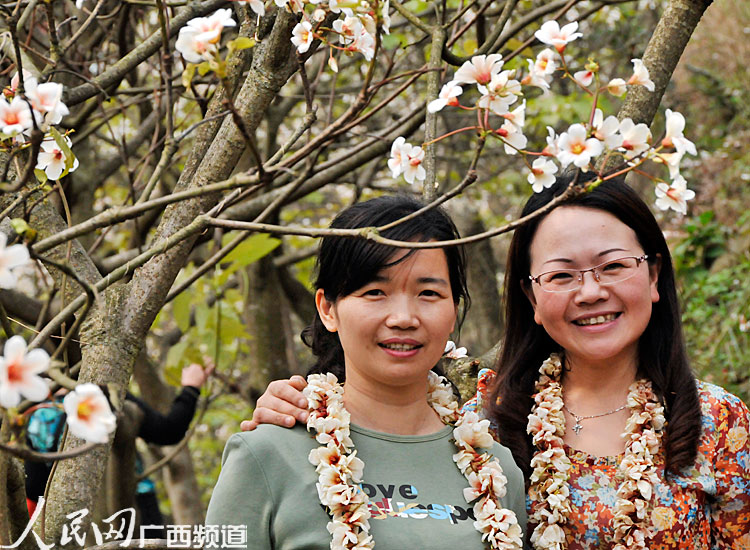 天峨第二届三堡桐花节开幕 <em>蓝衣</em>壮文化百花齐