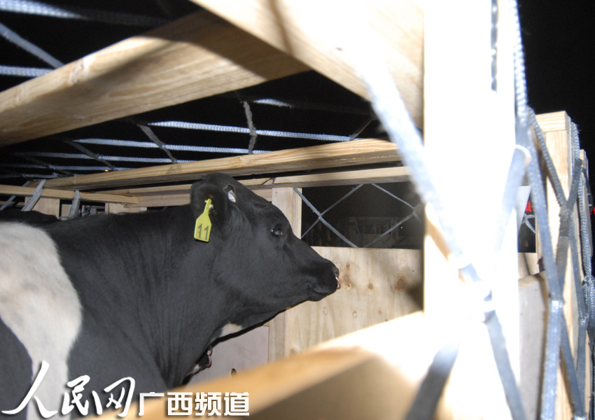 ���壺95ͷ�Ĵ������ֹ�ţ���������� �����״�
