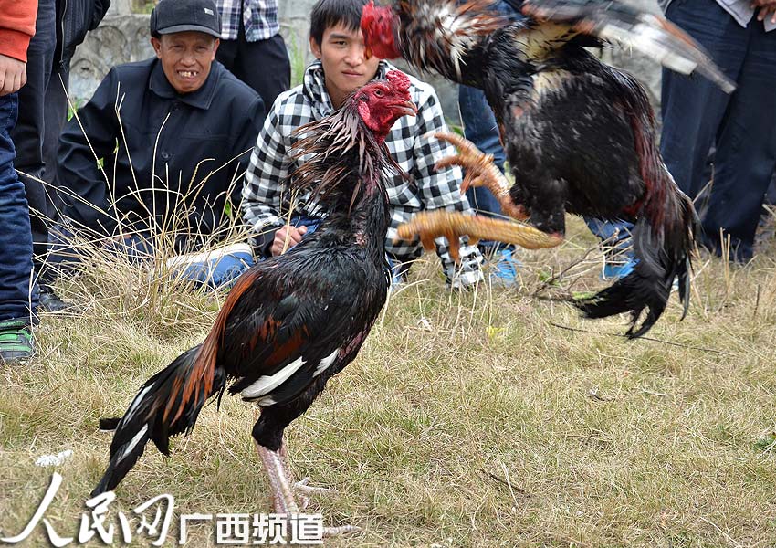 ���壺�´������֡��Ծ� �������������׶���
