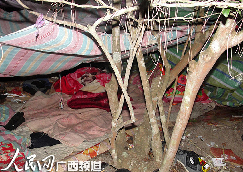 组图:田东吸贩毒人员藏匿山中破烂布篷被抓获