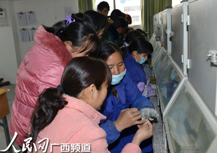 博白:招商引资再发力 着力优化投资环境