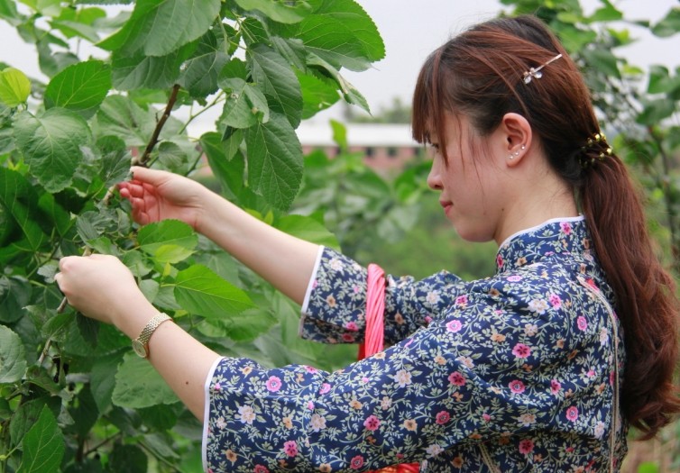 港口区开展<em>采桑女</em>主题摄影活动--人民网广西
