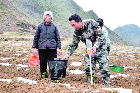 德保敬德人口_德保矮马