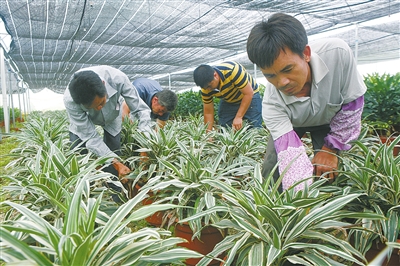 ������̬��ҵ�Ƽ�ʾ��԰��������