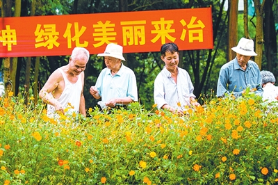 ���ݵ�Ա����æ��������������