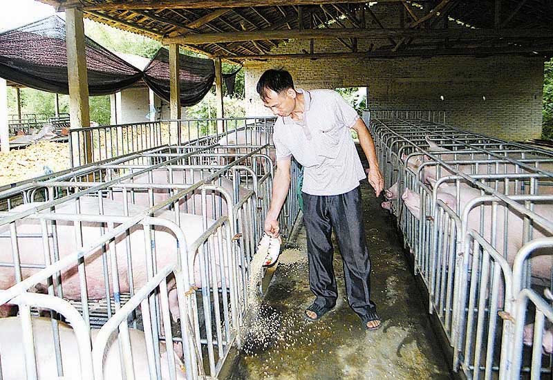 苍梧县引导农民投入水产畜牧养殖