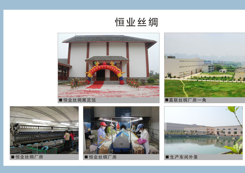 宜州 gdp_宜州烤鱼图片(3)