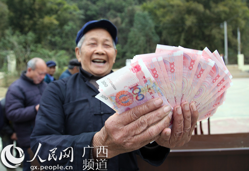 崇左市大新县桃城镇宝贤村价屯农民言昌奎