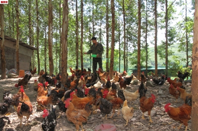 ����Ѫ�����׳��ũ�徭��