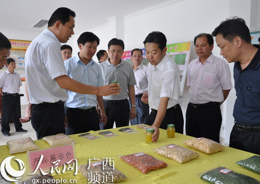 区农业厅王建副厅长(右三)到公司检查指导工作