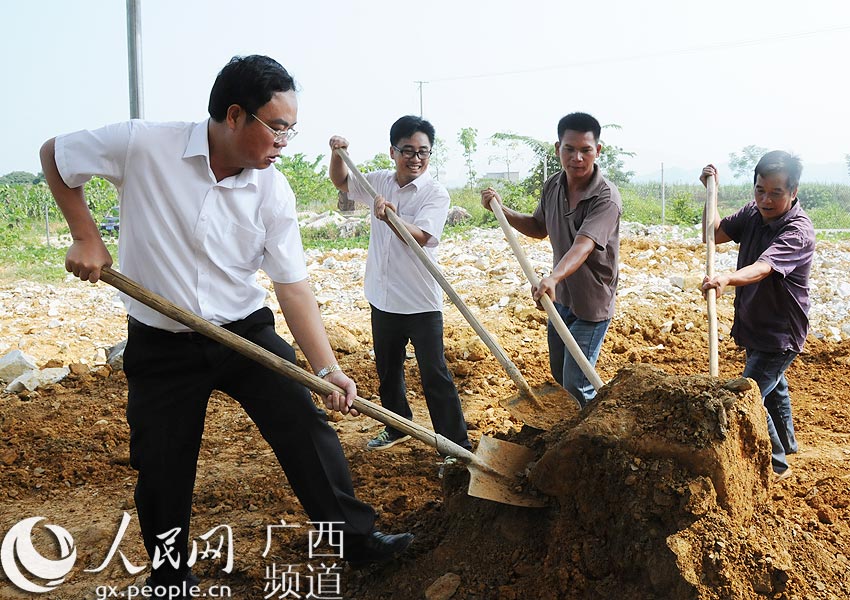 龙州县委书记秦昆与农户一起清理食用菌生产大棚