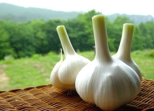 大蒜怎么吃才防癌?