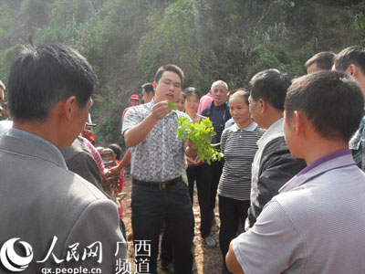 临桂县南边山乡人大聚焦三大产业助农增收