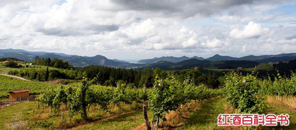 斗牛士的果敢:西班牙葡萄酒产区
