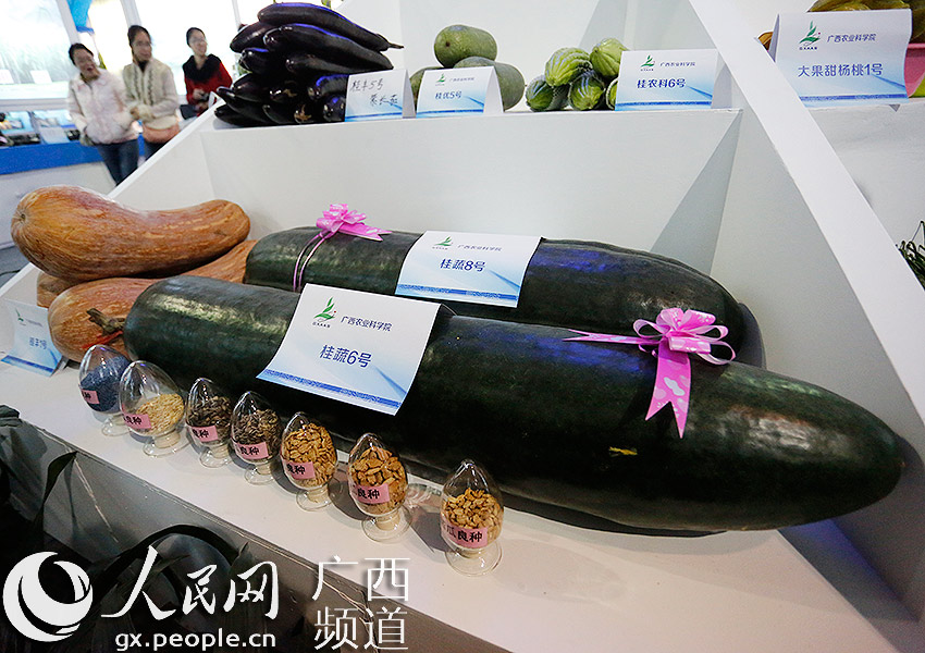 广西科技活动周展出桂字头特色农产品 巨型灵