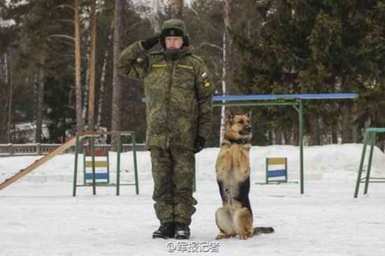 俄軍犬訓練前敬禮