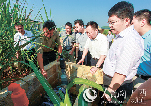 水利部督查组到江州区调研高效节水灌溉工程建