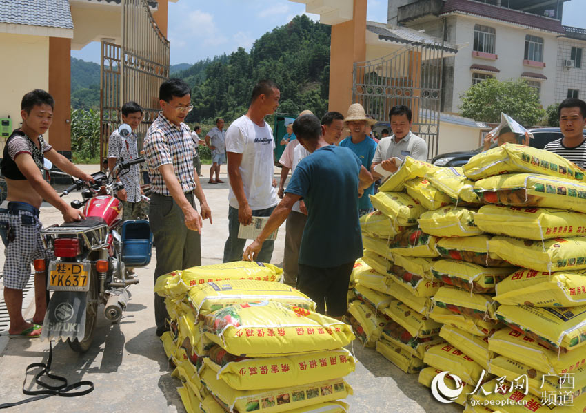 广西金秀:10吨化肥送瑶胞 助果农解忧