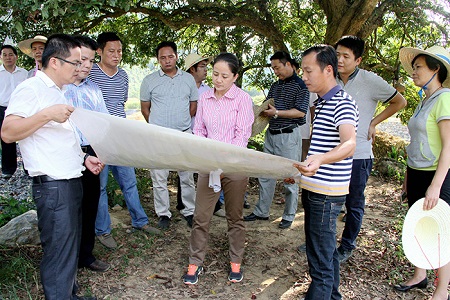 人民网广西频道 大新视窗 大新要闻    7月22日,县委书记赵丽率住建