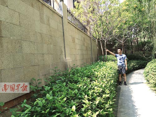 南宁一小区高层与门洞间筑界线"划清围墙"起风波尺寸别墅双别墅铜门开图片