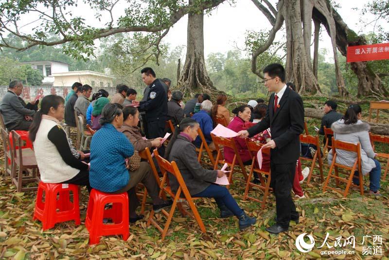 广西宁明:《反家庭暴力法》宣传走进大榕树课