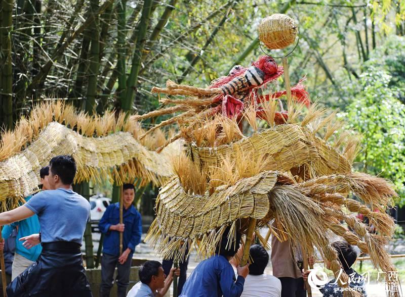 舞草龙_苏庄舞草龙