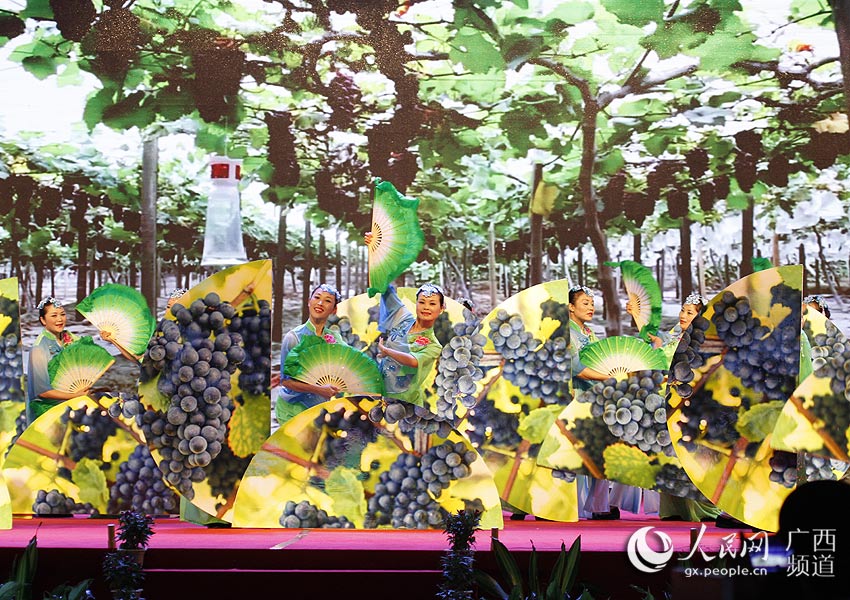 广西兴安第十届桂林米粉节暨第八届葡萄节开幕
