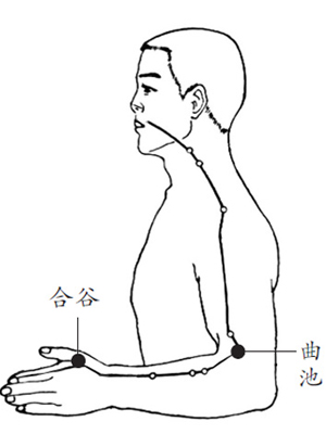 常用手臂刮痧和经络敲打法 大肠经畅通人变美