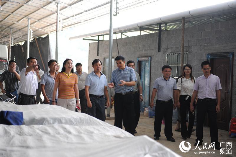 验收组到天峨县检查评估验收创建广西科技示范县工作