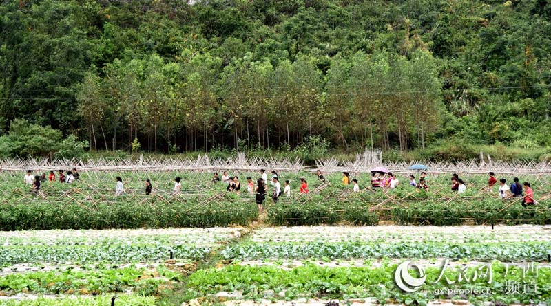 广西外劳人口_广西人口分布图(2)