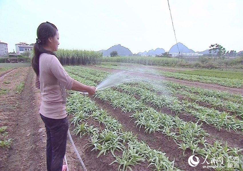 宜州人均收入_山歌悠扬风情宜州(2)