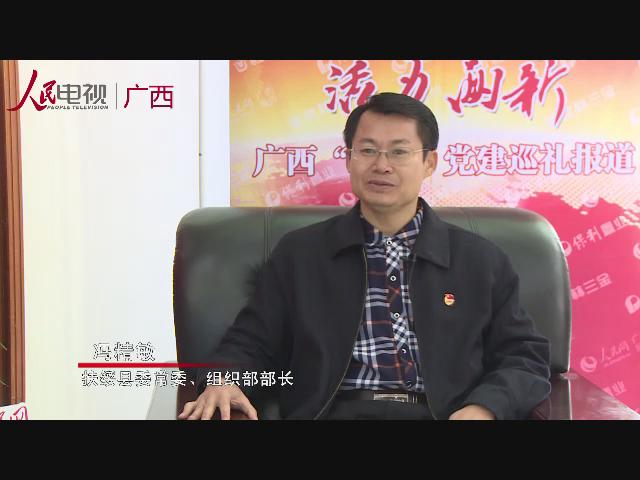 视频专访:扶绥县委常委,组织部部长冯精敏