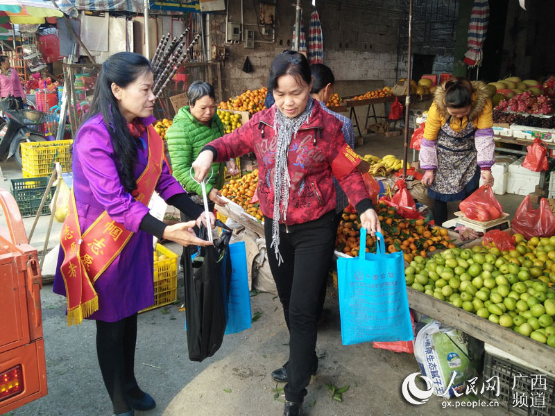 广西宁明妇联积极发挥社团群众妇女组织能动作