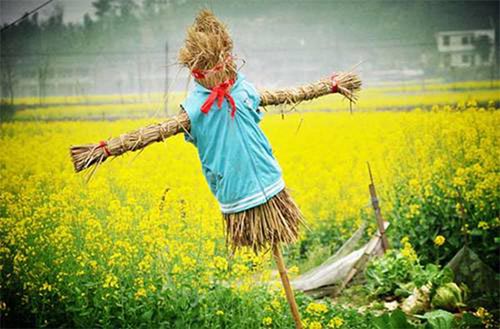 柳州市北纬24度稻草人艺术节3月前开展