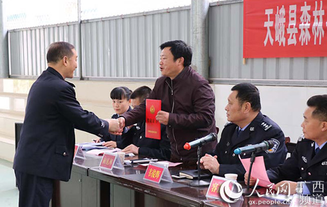 广西河池:天峨森林