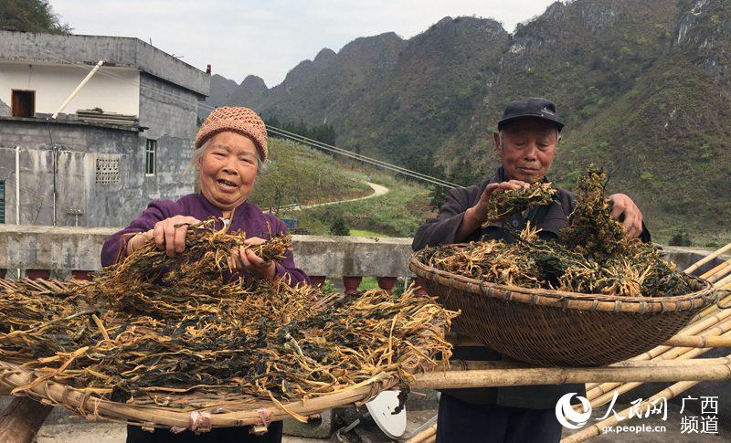 龙凤乡人口_龙凤呈祥图片