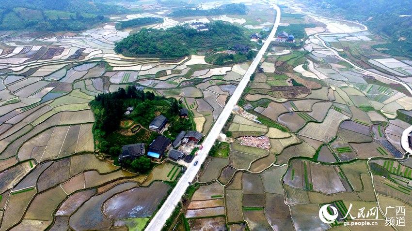 柳州市区有多少人口_柳州里高有多少人口