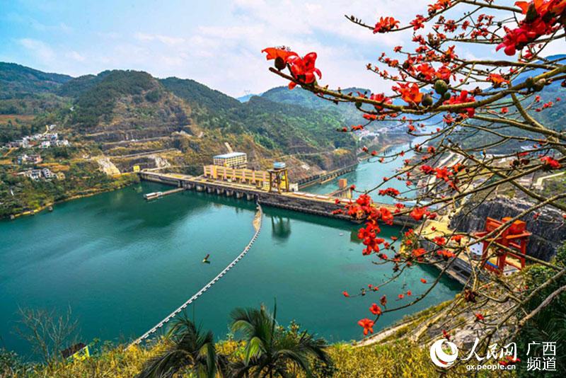 红水河上的守护神——岩滩水电站