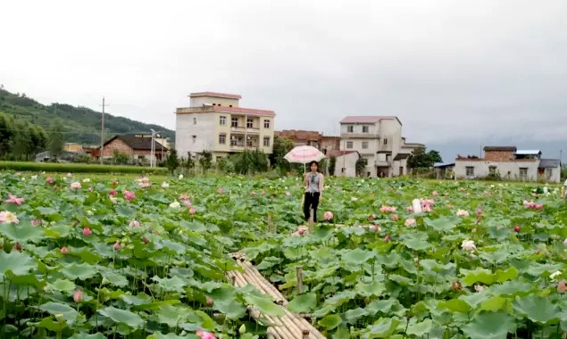 灌阳县人口_表情 记者再走长征路 广西灌阳 人在阵地在誓与阵地共存亡 长征路(3)