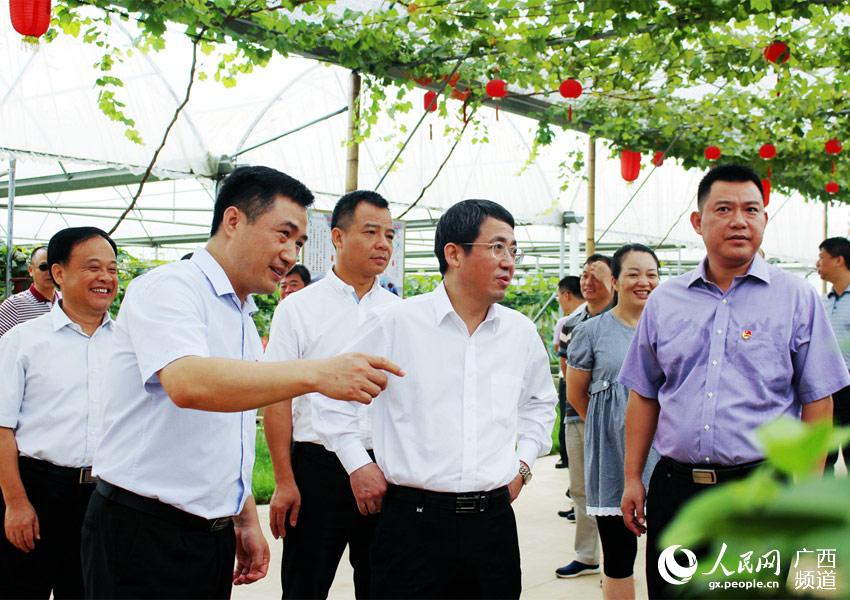 柳州市长吴炜带队到鹿寨县检查全区县域经济发