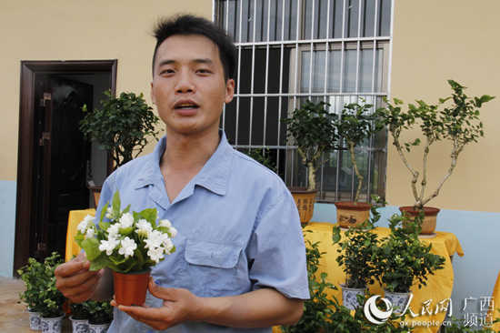 广西横县:花样经济活力奔涌