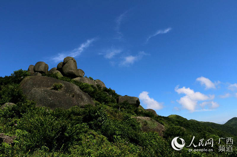 五皇山原名叫五皇岭,2015年升级为五皇山国家地质公园,位于广西浦北县龙门镇,距离浦北县城30公里,车程40分钟左右。 五皇山面积达10平方公里,是由高山草坪、高山茶园、高山梯田、溪流瀑布、亚热带季雨林、花岗岩奇石等自然景观和社戏傩舞(跳岭头)人文景观等构成的,集观光旅游、休闲度假、风情体验于一体的国家4A级旅游景区。 五皇山具有山高林茂、草绿石奇、谷幽水秀、雾浓云美、民俗奇异的特点。从南门而上,游客可以选择乘坐观光车来到半山腰的月亮山庄。从月亮山庄登至山顶,可以用三看一闻一听一感一戏来概括沿途