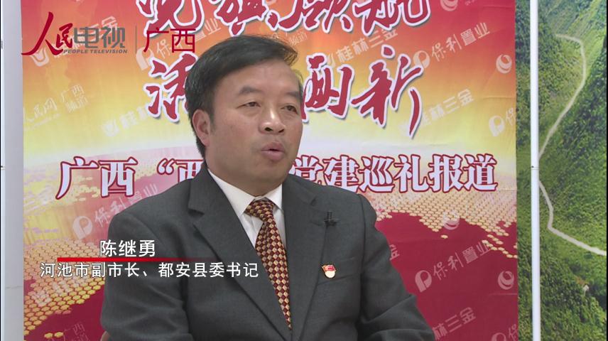 專訪：河池市副市長、都安縣委書記陳繼勇