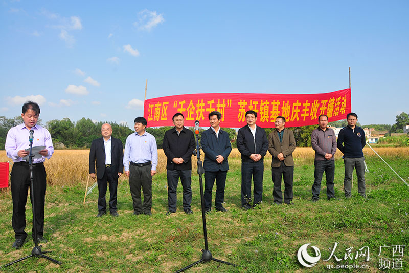 苏圩佳棉村人口_苏圩镇联英村奚秋发图(2)