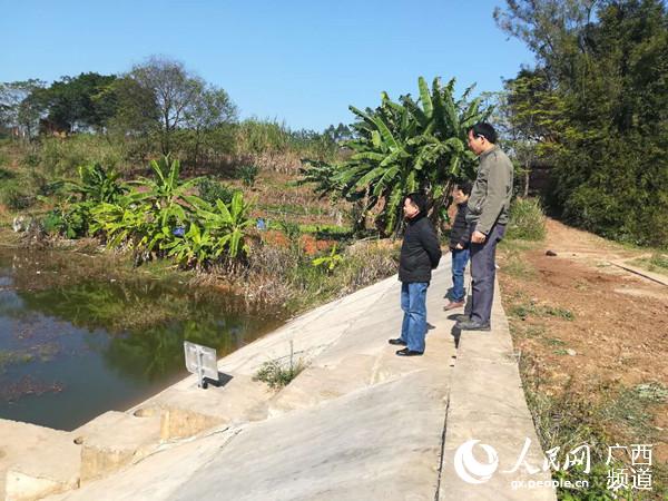 广西桂平市大湾镇天堂村人口数量_广西桂平市麻垌镇