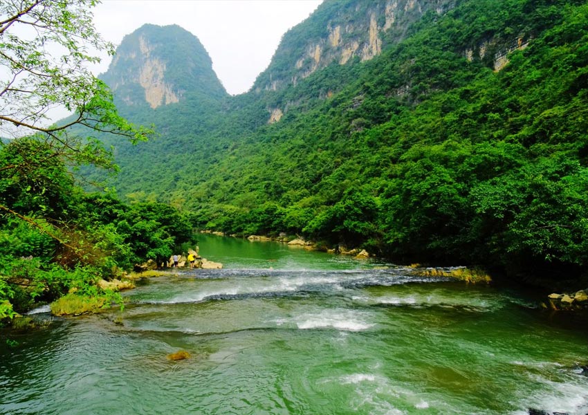 大新美景