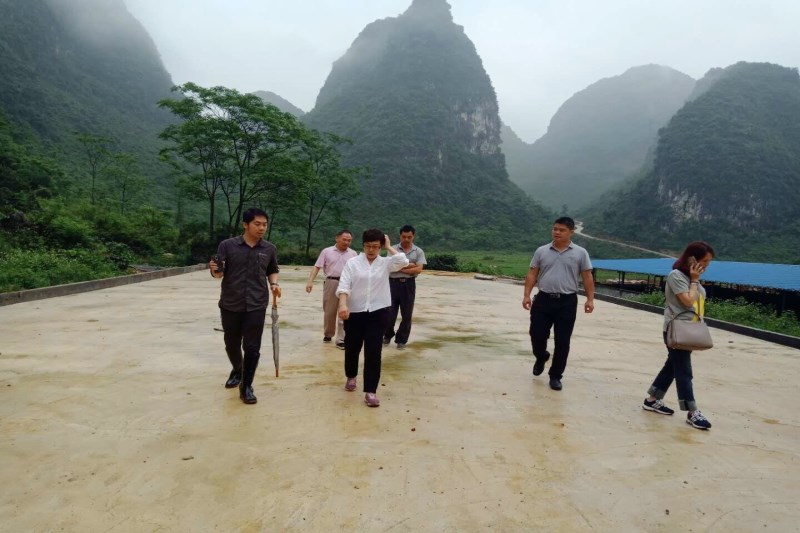 办定点扶贫联系点——广西马山县白山镇兴华村和古寨瑶族乡加善村开展