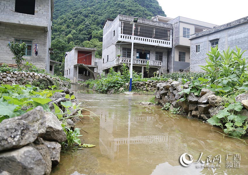 龍吉屯水塘因歷史遺留原因造成堵塞
