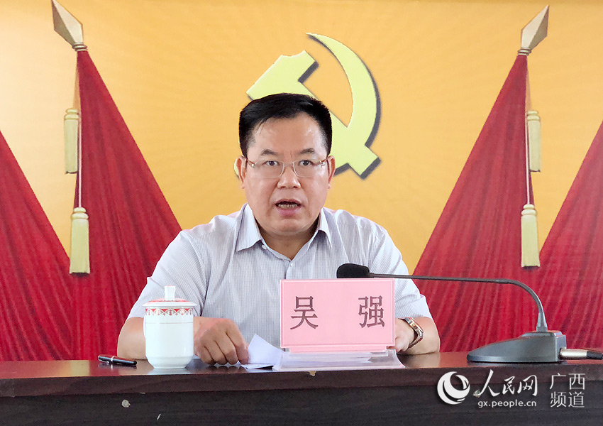 天等縣委書記吳強作總結講話